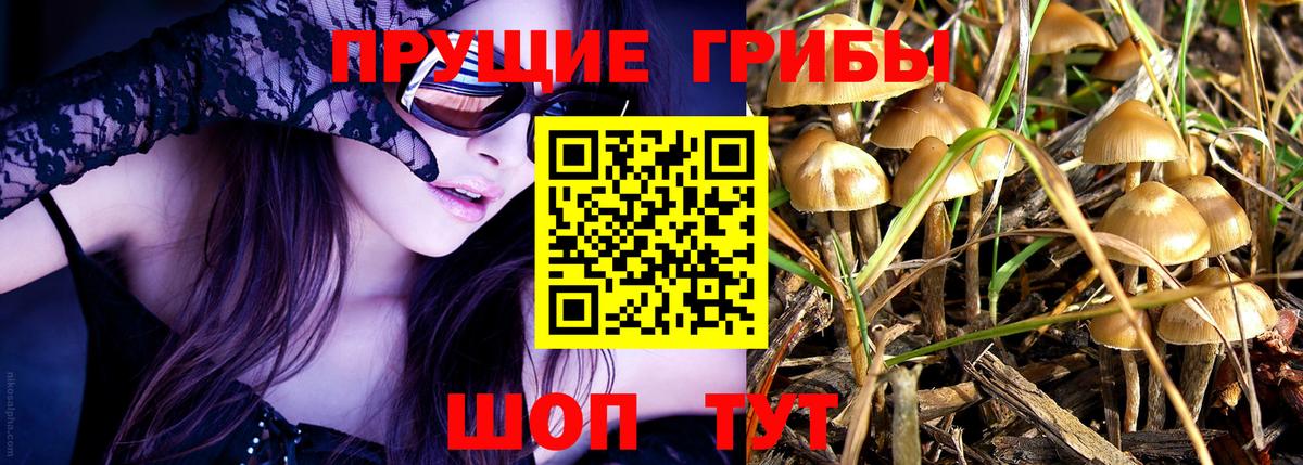 Галлюциногенные грибы Psilocybine cubensis  Вход с VPN  Тольятти 